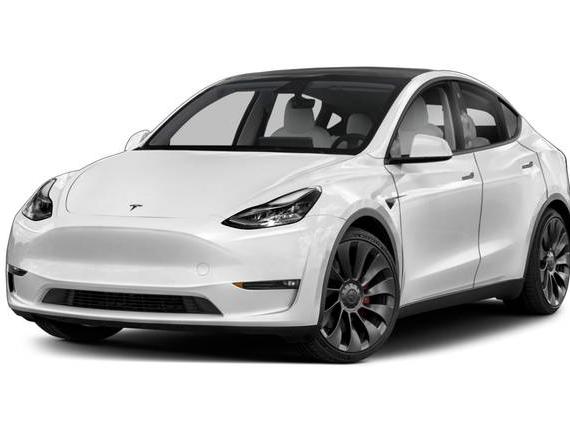TESLA MODEL Y 2021 5YJYGDEE9MF097281 image